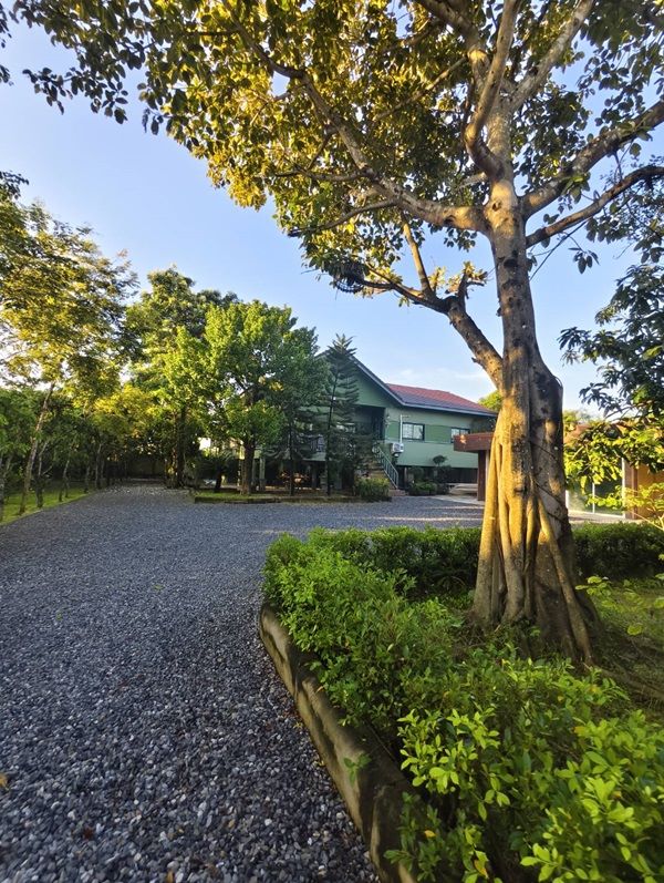 ขายบ้านสวน พร้อมที่ดิน 3 ไร่ อ.หนองเสือ จ.ปทุมธานี น้ำไม่ท่วม พร้อมเข้าอยู่ โทร 086-7777215 เจ้าของขายเอง